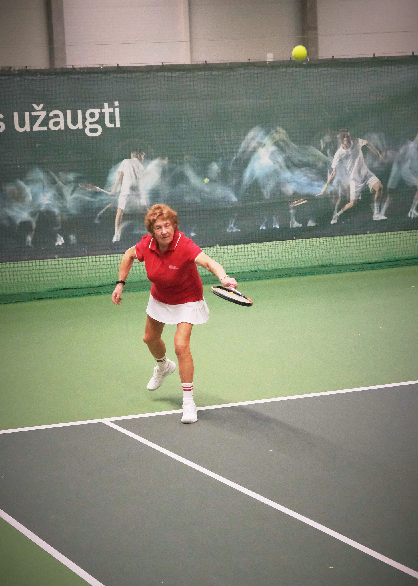 You are currently viewing Irena Misevičienė